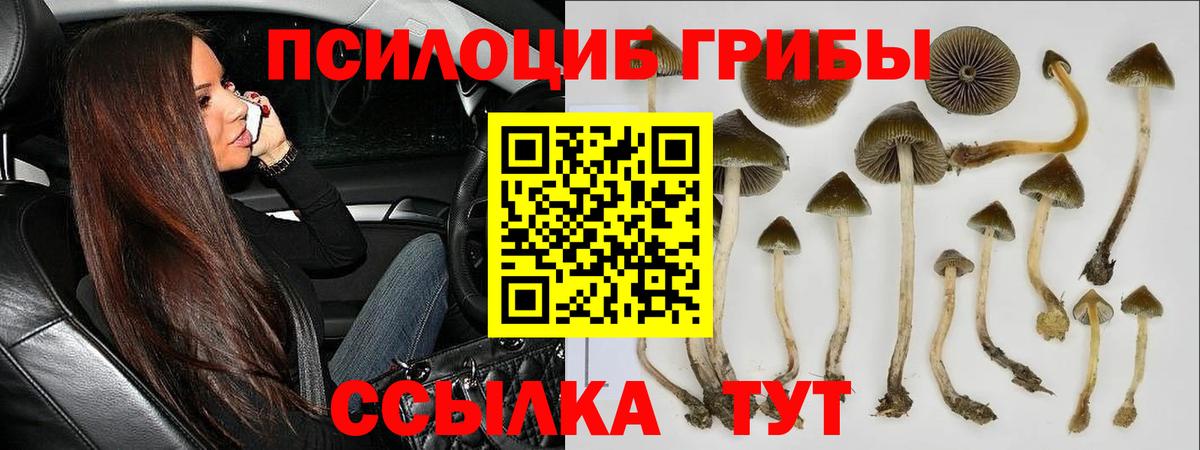 Галлюциногенные грибы Cubensis Орск