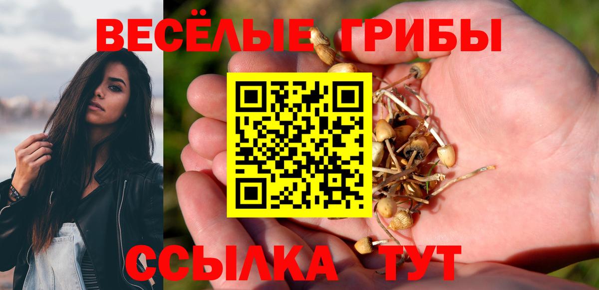 Псилоцибиновые грибы MAGIC MUSHROOMS  Псилоцибиновые грибы ЛСД  Орск  Вход с VPN 